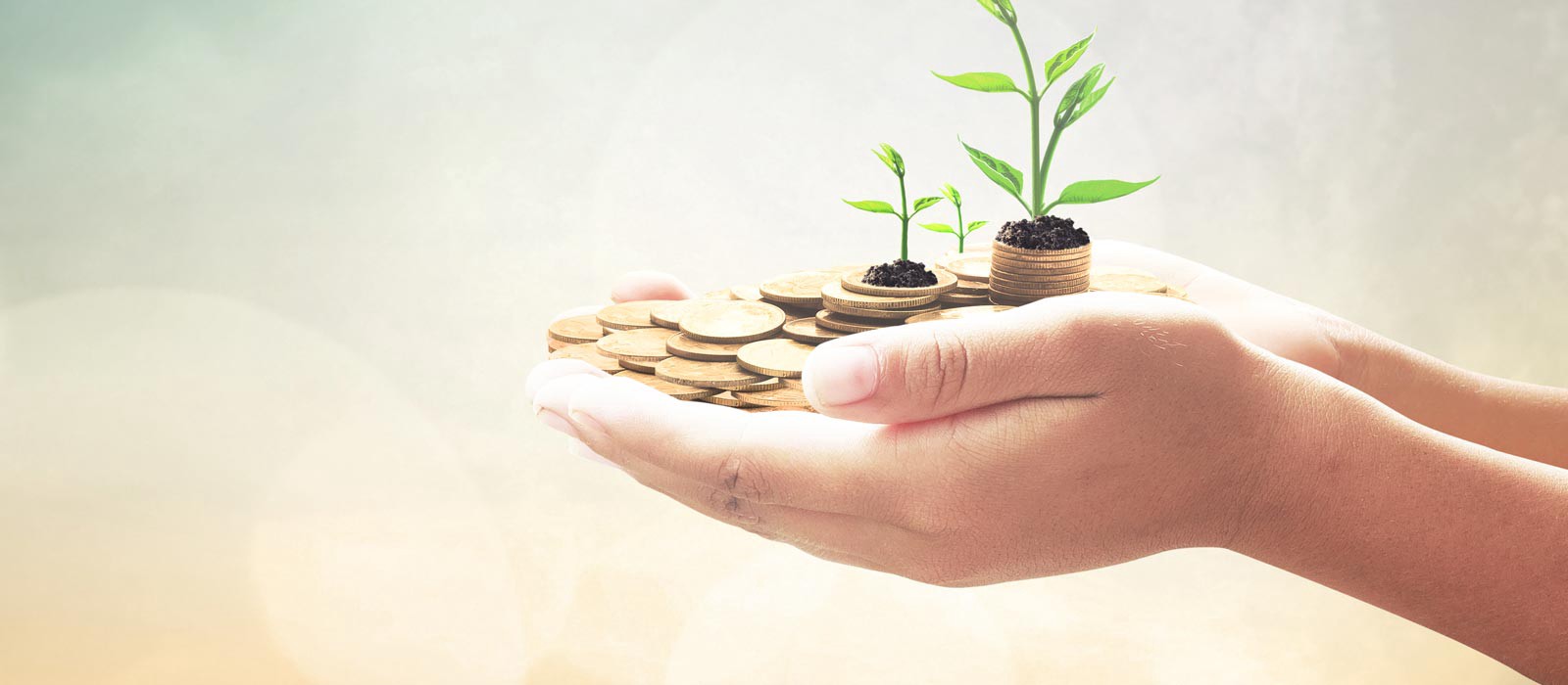 Strategies for Cause-Based Beverage Brands