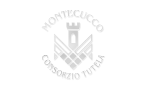 Montecucco