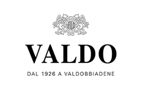 Valdo