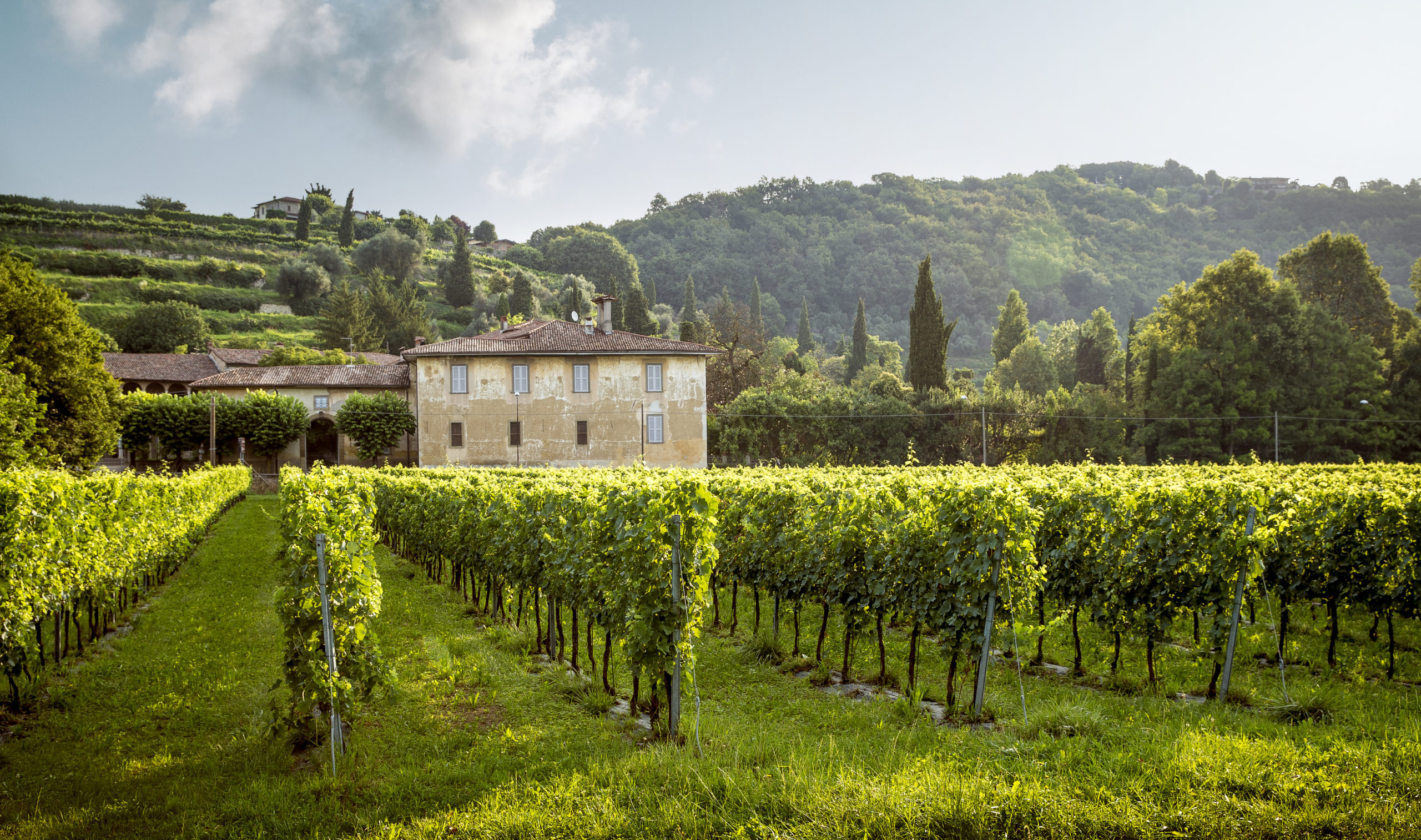 Communicating Luxury: Why Iconic Wine Brands Invest in Public Relations