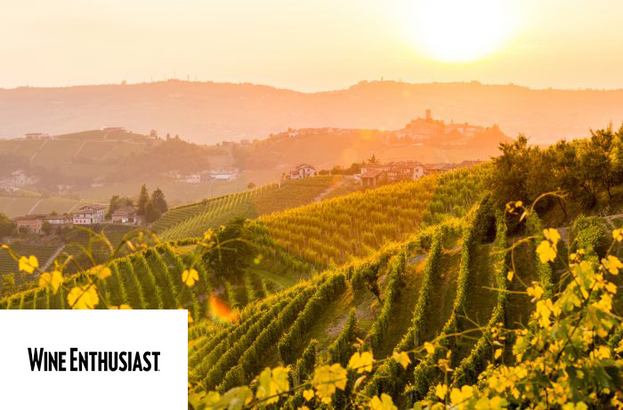The Best Italian Wines to Cellar (2021)