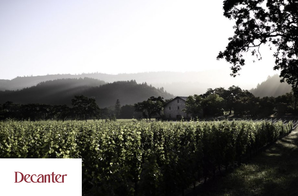 International Sauvignon Blanc Day: 15 wines to try