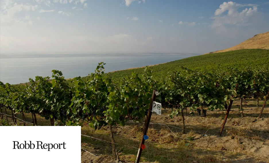 Everything You Need to Know About Washington State Wine