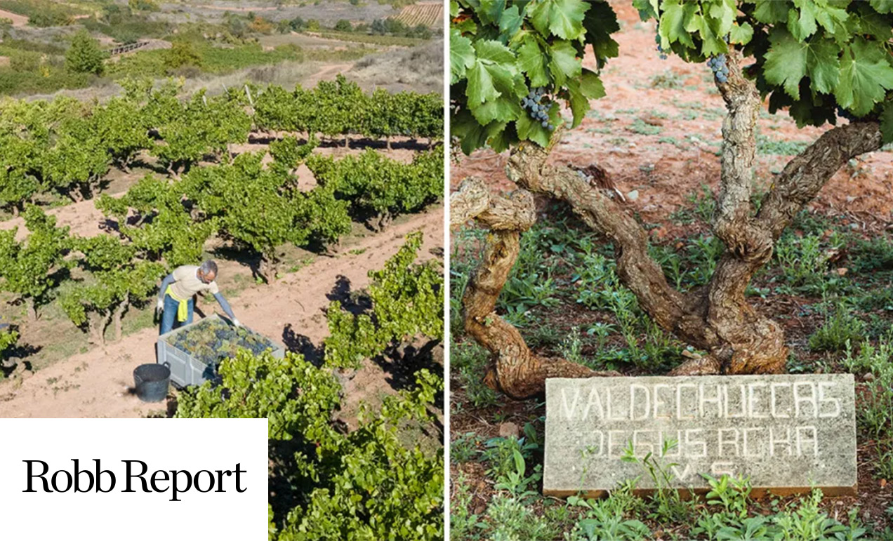 Rioja’s Wine Is Better Than Ever Right Now—Here’s Why