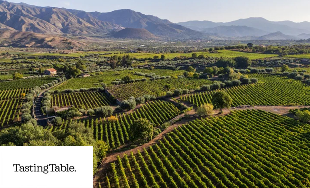 15 Things To Know About Sicilian Wine