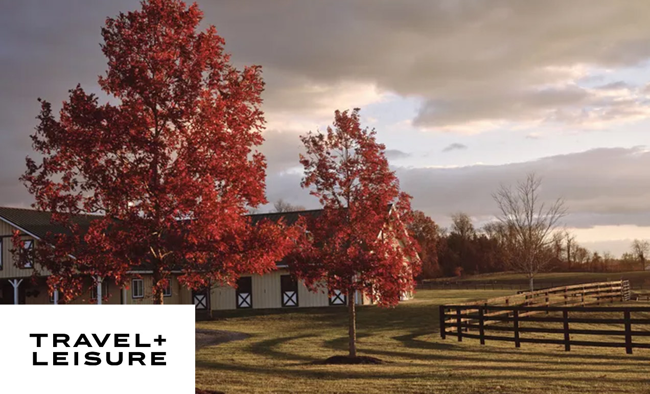 Virginia Is for Wine Lovers — Here’s Where to Go and What to Drink