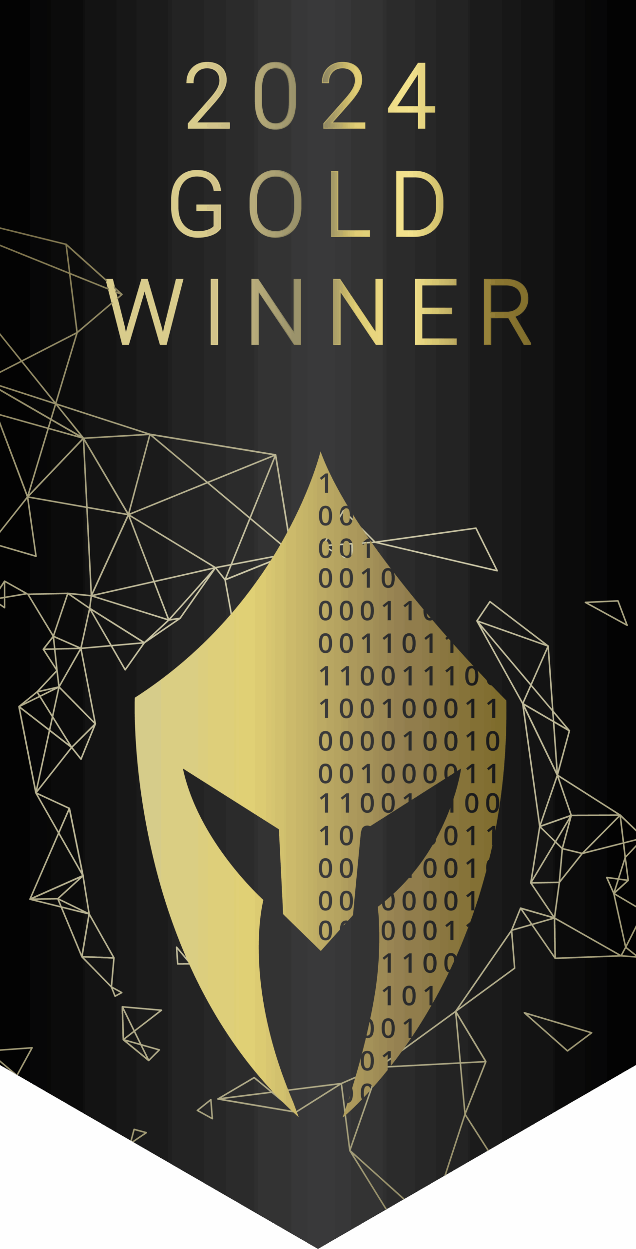 2024-Vega-Digital-Awards-Gold-Winner