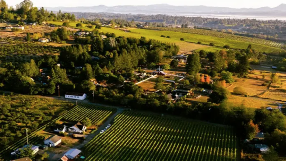 colangelo-cs-paul-hobbs-thumb