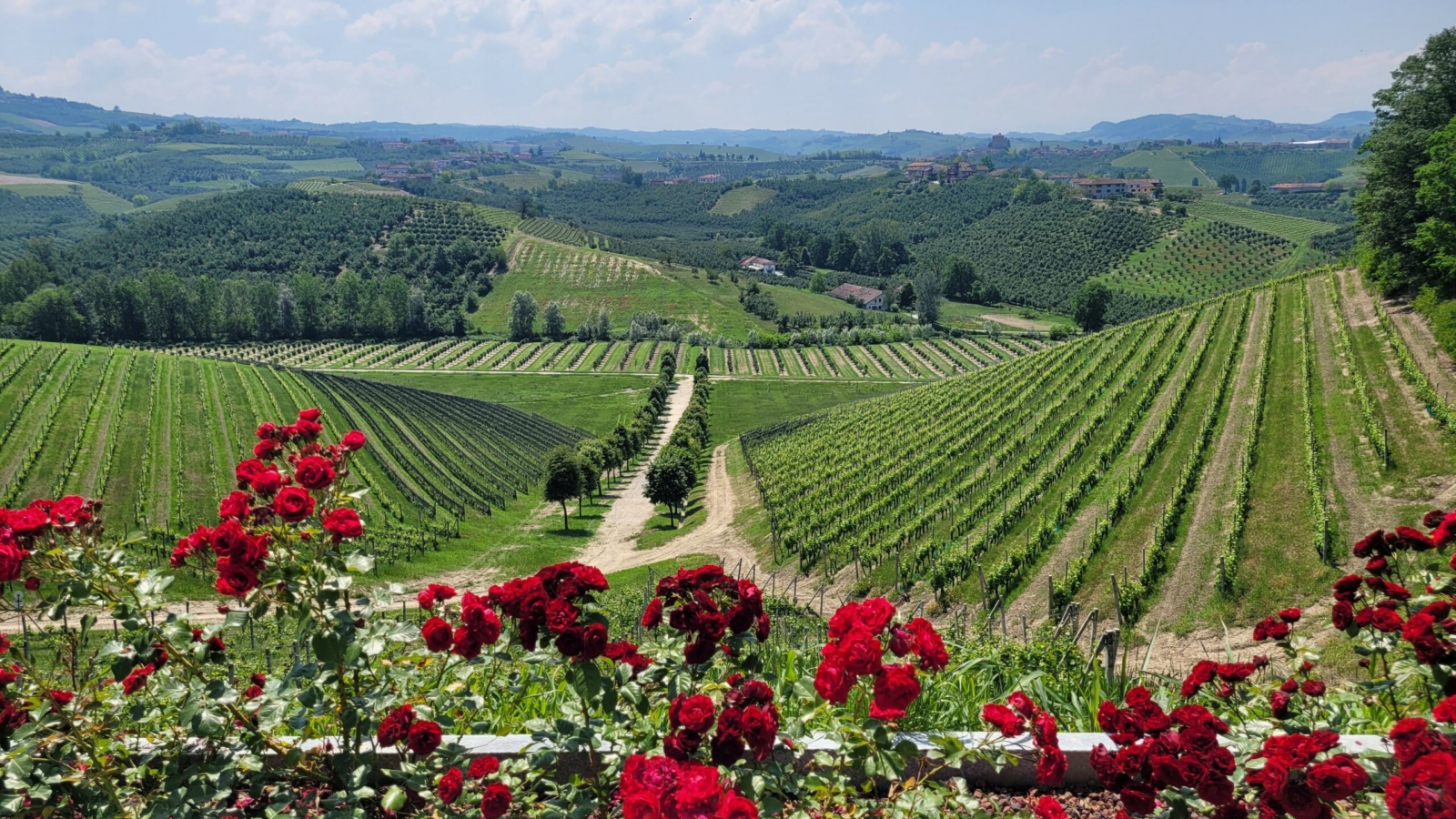 Image_20231026_105025_147-scaled