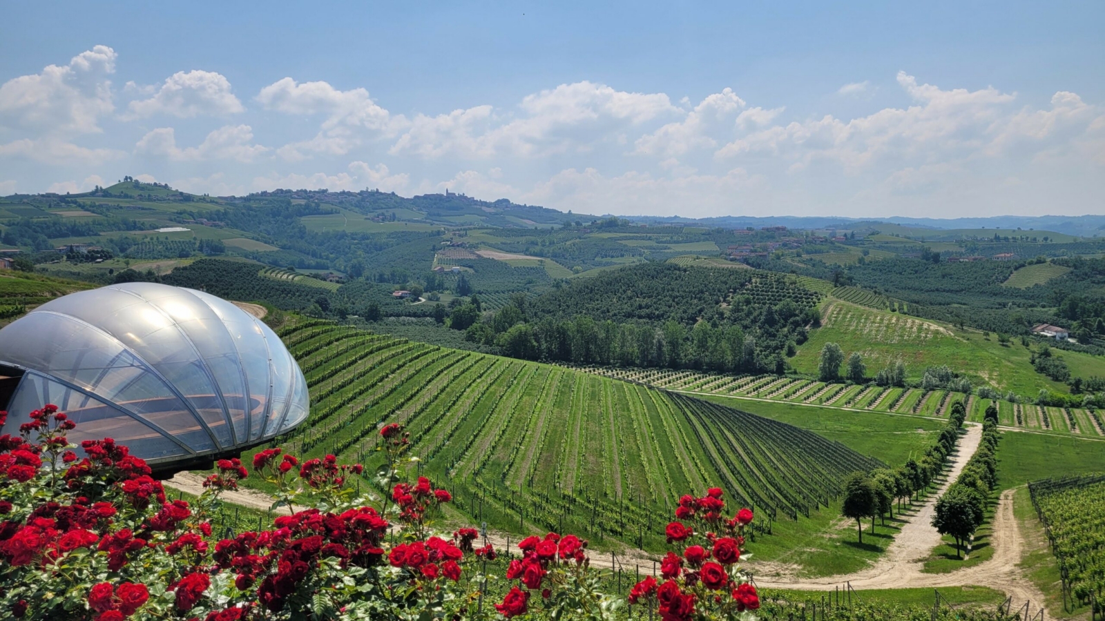 Torreys-Blog-P2-2--scaled