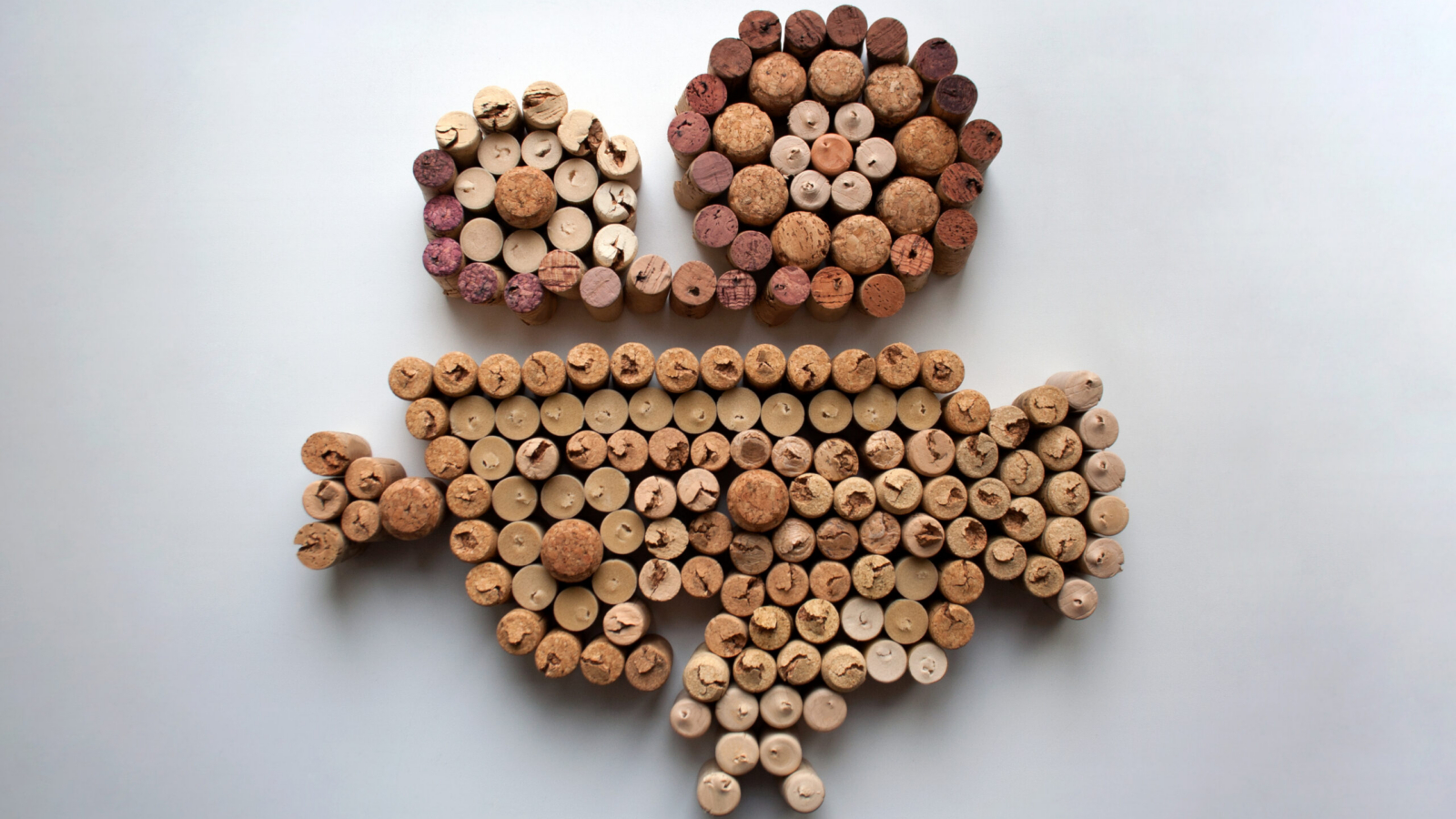 shutterstock_1264237651