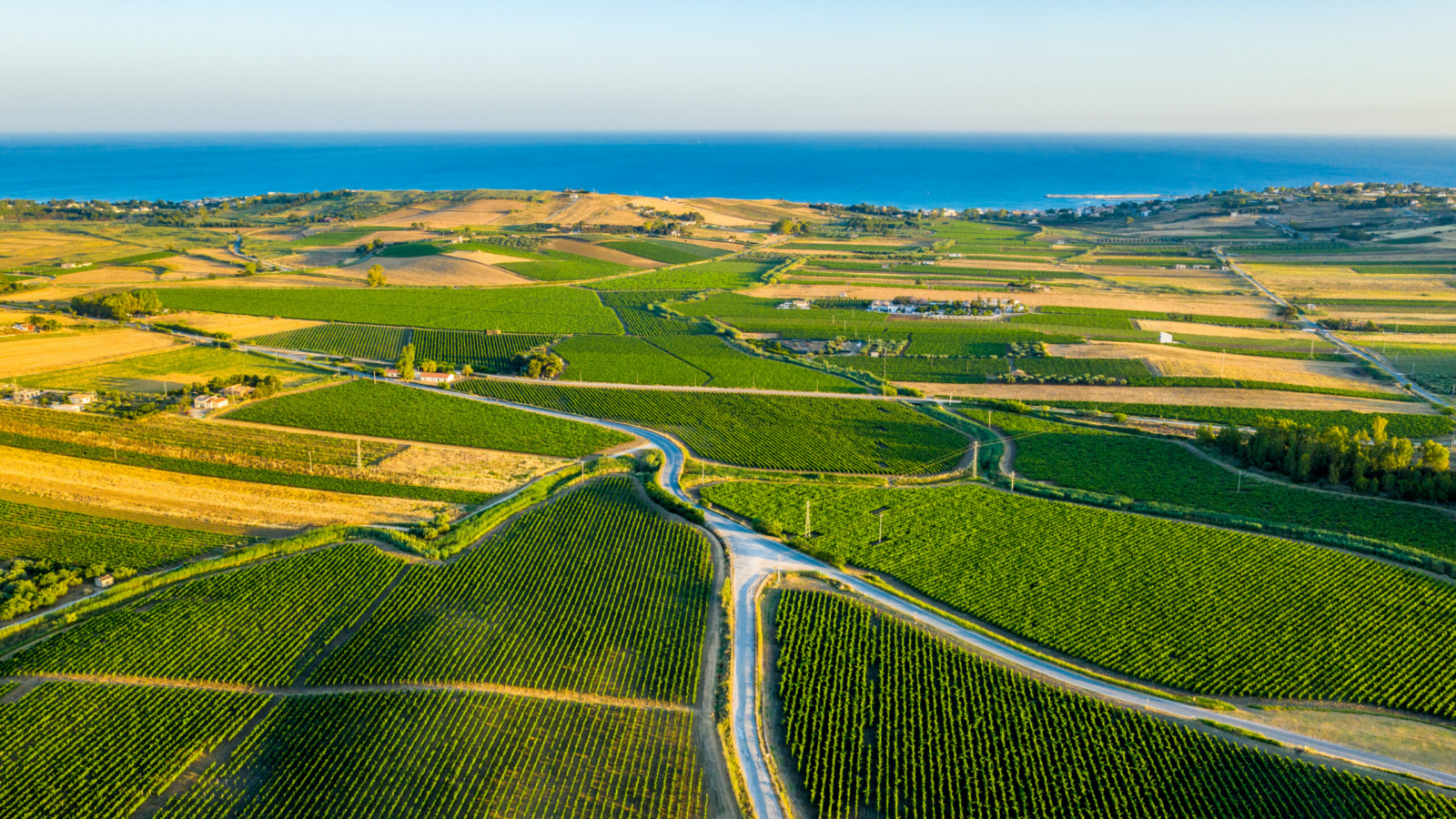 Aerial,Shot,Of,The,Vineyards,Near,Menfi,In,Southwestern,Sicily,